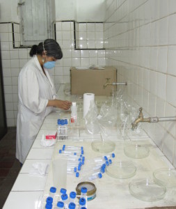 laboratorio XIV
