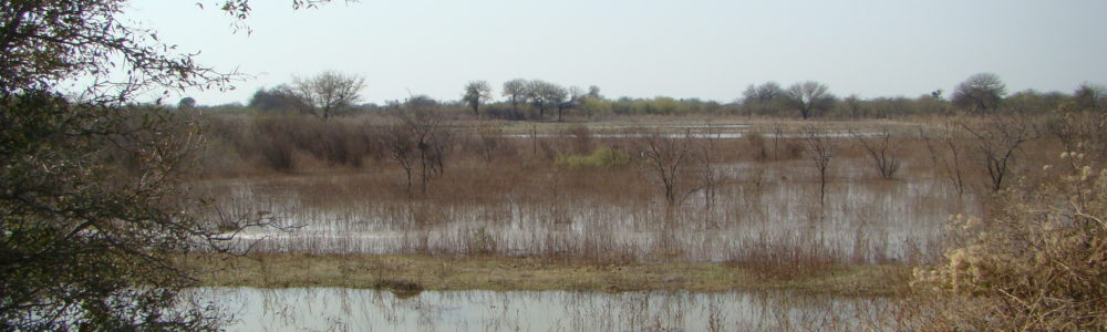 dsc09280 dsc09280